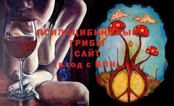 Альфа ПВП Абаза