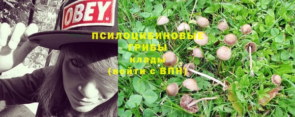 эйфоретик Алексин