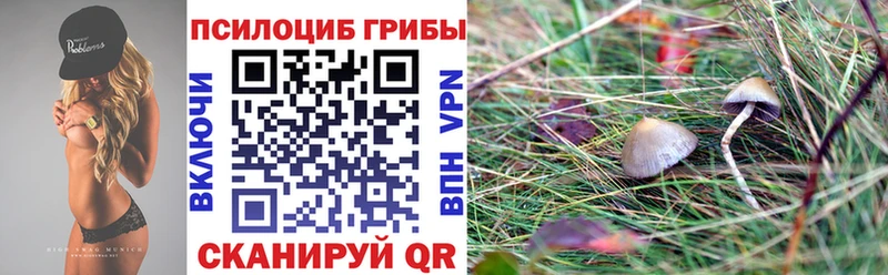 Галлюциногенные грибы Magic Shrooms  Галич 